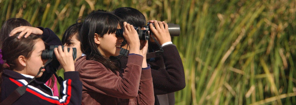 kids-birding